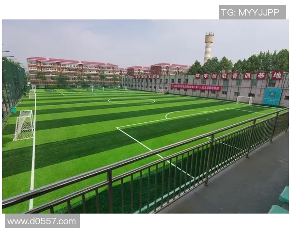 正常足球的尺寸与编号解析及不同类型足球的使用场景介绍